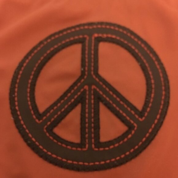 Gymboree Peace/Striped Rashgaurd and trunks 6-12M - Picture 4 of 7